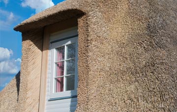 Houlsyke thatch roof disadvantages