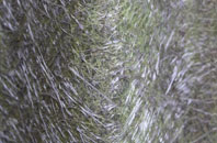 Houlsyke fibreglass roof work